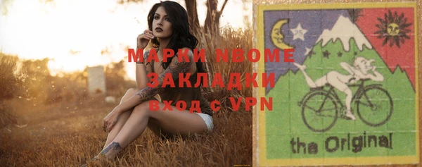 СК Ельня
