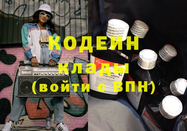 СК Ельня
