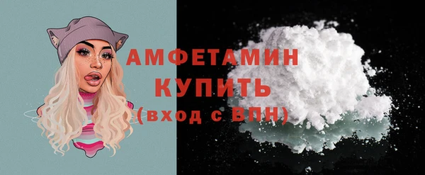 СК Ельня