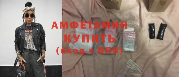 СК Ельня