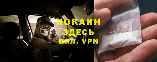 СК Ельня