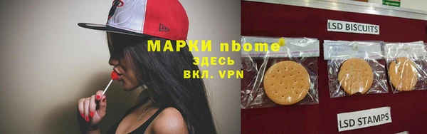 СК Ельня