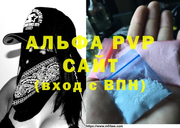 СК Ельня