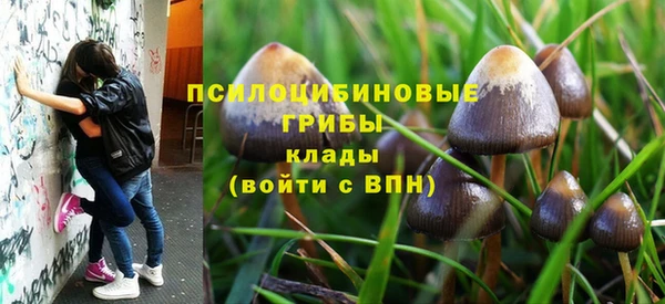 хмурый Елабуга