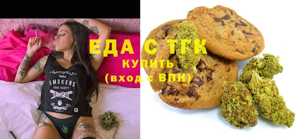 СК Ельня
