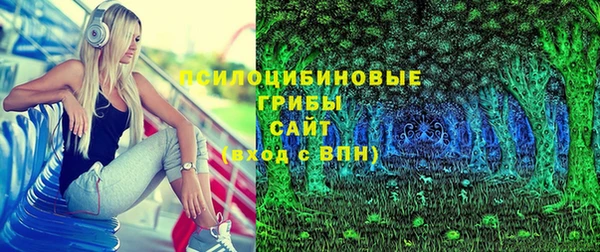 СК Ельня