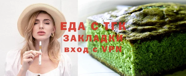 СК Ельня