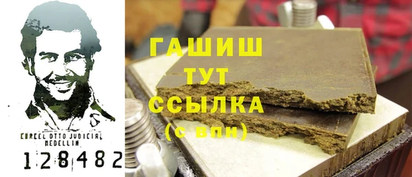 СК Ельня